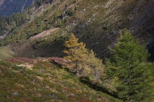 Duisitzkar 76435 2014-10-06.jpg