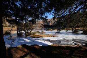 Duisitzkarsee 14357 2011-11-30.jpg