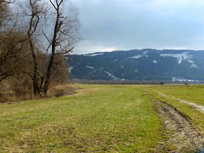 Ennsau bei Reithtal100063.JPG