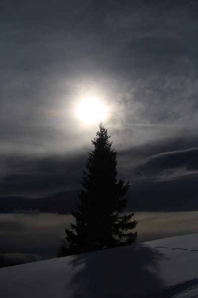 Datei:Gössleralm-salzofen 2630 2008-02-04.jpg