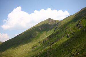 Glatt 1170 13-08-06.jpg