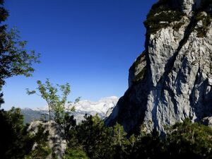 Großer Donnerkogel50247.JPG