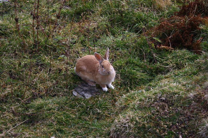 Datei:Keinprechthütte 74106 2014-10-06.jpg
