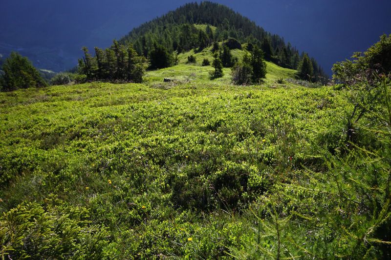 Datei:Klockalm 57774 2015-07-11.jpg