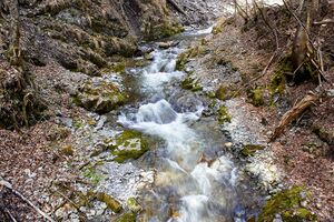 Mühlbach lessern-0325-2023-04-22.jpg
