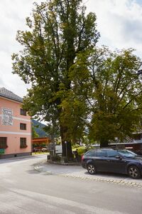 ND 893 AltenmarktSG-0562-2025-08-06.jpg