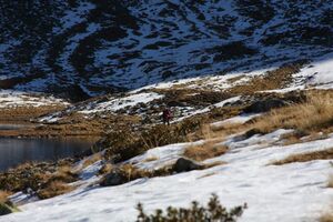 Oberer lanschitzsee 98315 2011-11-01.jpg