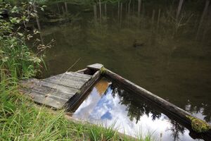 Salleitnerteich Oberhausberg 57595 2017-09-15.jpg