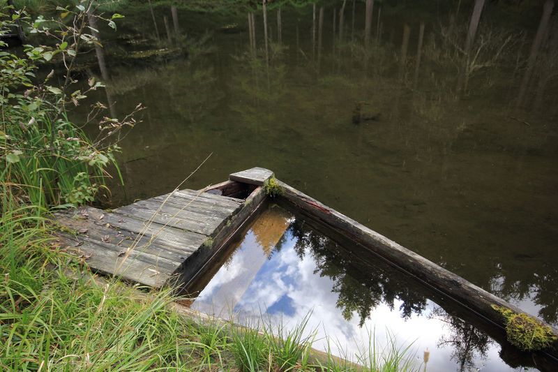 Datei:Salleitnerteich Oberhausberg 57595 2017-09-15.jpg