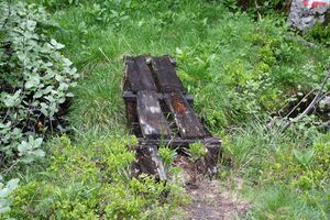 Schimpelbach 279 13-06-27.jpg