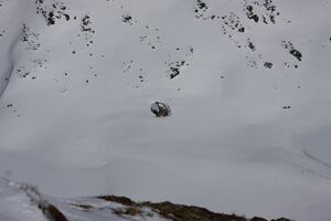 Seiterhütte znachspitze 22273 2016-04-30.jpg