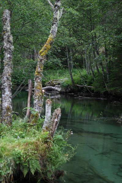 Datei:Untertalbach 7537 2011-07-05.jpg
