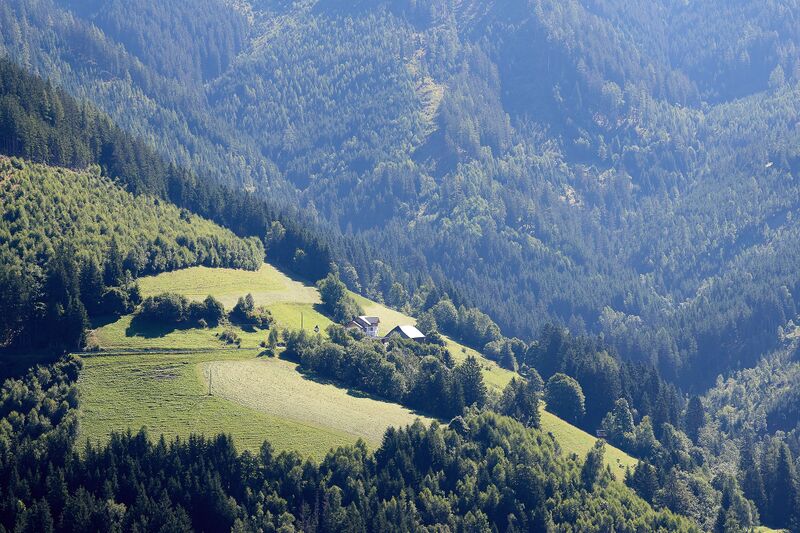 Datei:Vlg asinger sonnberg-0206-2023-08-11.jpg