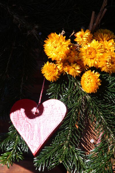 Datei:Wehrhofalm 50159 2007-12-19.jpg