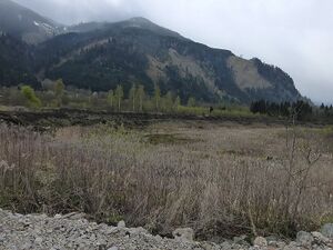 Frauenberger Torfstich70283.JPG