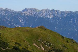 Guschen-schiedeck 9096 2008-08-11.jpg