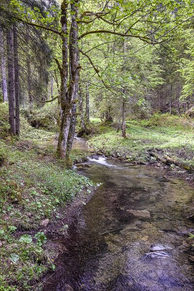 Datei:Höllboden hartelsgraben-1000-2021-06-05-2.jpg