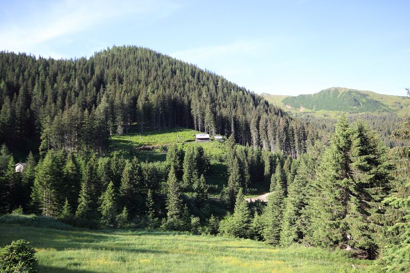 Datei:Jhtt mödering 78114 2018-06-11.jpg