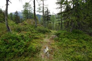 Knallkar großsölk 55610 2016-08-17.jpg