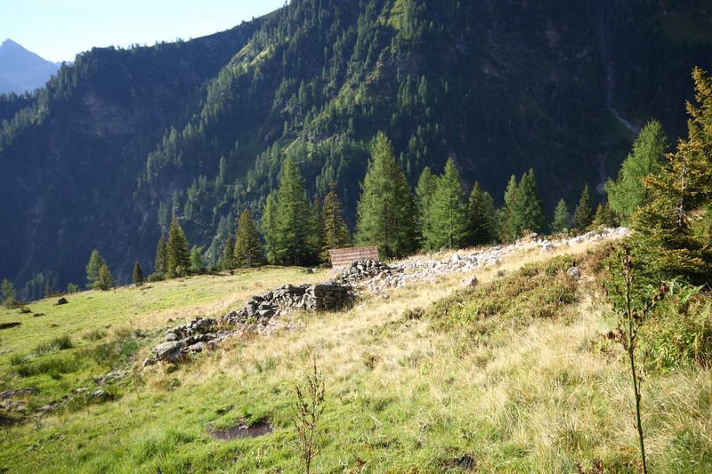 Datei:Lassachalm (Alm) 02511 2015-08-28.jpg