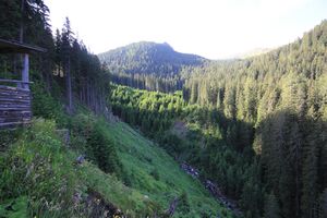 Möderinggraben 78113 2018-06-11.jpg