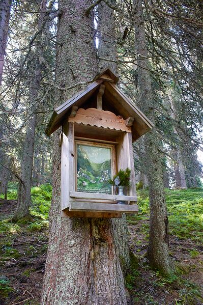 Datei:MA neuburgalm-2005-2021-07-03.jpg