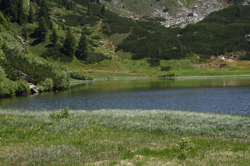 Datei:Plannersee 65276 2014-06-26.jpg