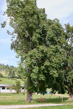 Schörkmaier kapelle gröbming-0196-2023-08-27.jpg