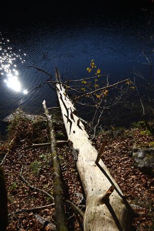 Toplitzsee 77741 2014-11-03.jpg