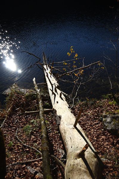 Datei:Toplitzsee 77741 2014-11-03.jpg