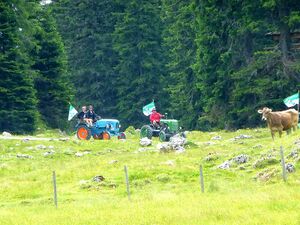 Almfest viehbergalm154.JPG