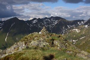 Am nageleck 76950 2014-06-15.jpg