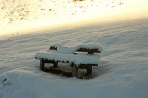 Bodensee 26469 2014-01-01.jpg