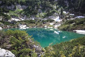 Dreibrüdersee 77417 2018-06-04.jpg