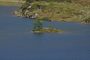 Giglachsee 1231 2011-06-22.jpg
