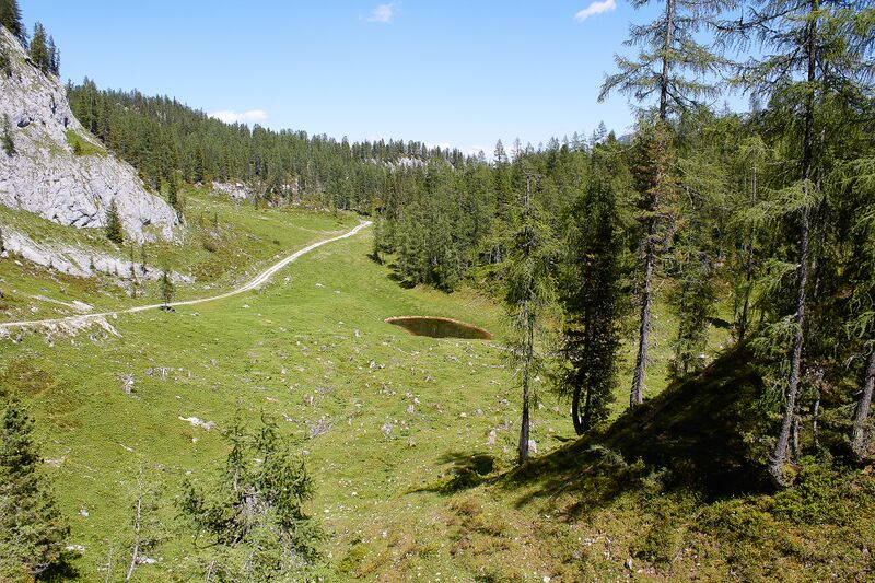 Datei:Große wiesmahd-0239-2022-06-12.jpg