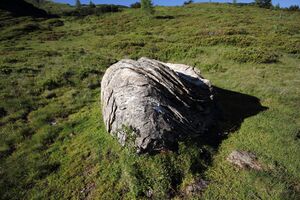 Gumpenkar 53213 2017-07-05.jpg