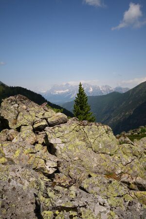 Im wildkar 23605 2008-06-26.jpg