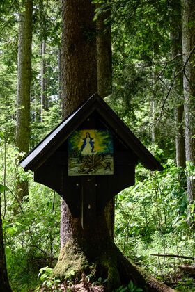 MA grasnerhalt zauchen-0058-2023-06-01.jpg