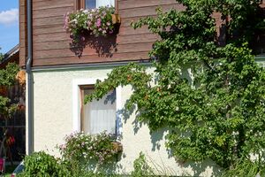 Ringlerhof Michaelerberg Ost-0006-2023-08-14.jpg