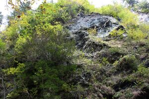 Teufelsschlucht Seewigtal 73425 2014-10-02.jpg