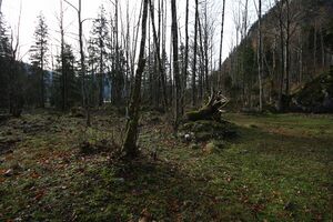 Altaussee seewiese 79063 2014-11-15.jpg