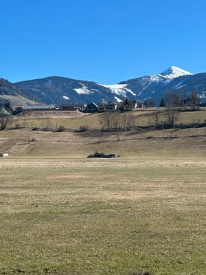 Falkenstein Aigen-0043-2025-03-20.jpg