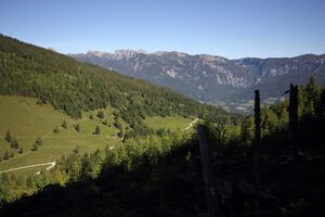 Gumpental 49365 2017-06-09.jpg