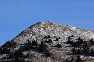 Horninger zinken -grießkegerl 61719 2017-10-11.jpg