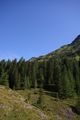 Huberalm 2735 2009-08-19.jpg