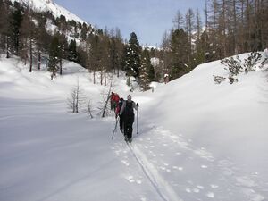 Kehr luserwand 38201 2006-01-28.jpg