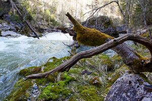 Klachauer gefällstufe-0087-2023-04-22.jpg