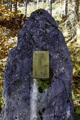 MA harald aigner-0011-2021-10-30.jpg