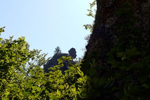 ND 600 Türkenkopf-0379-2025-06-18.jpg